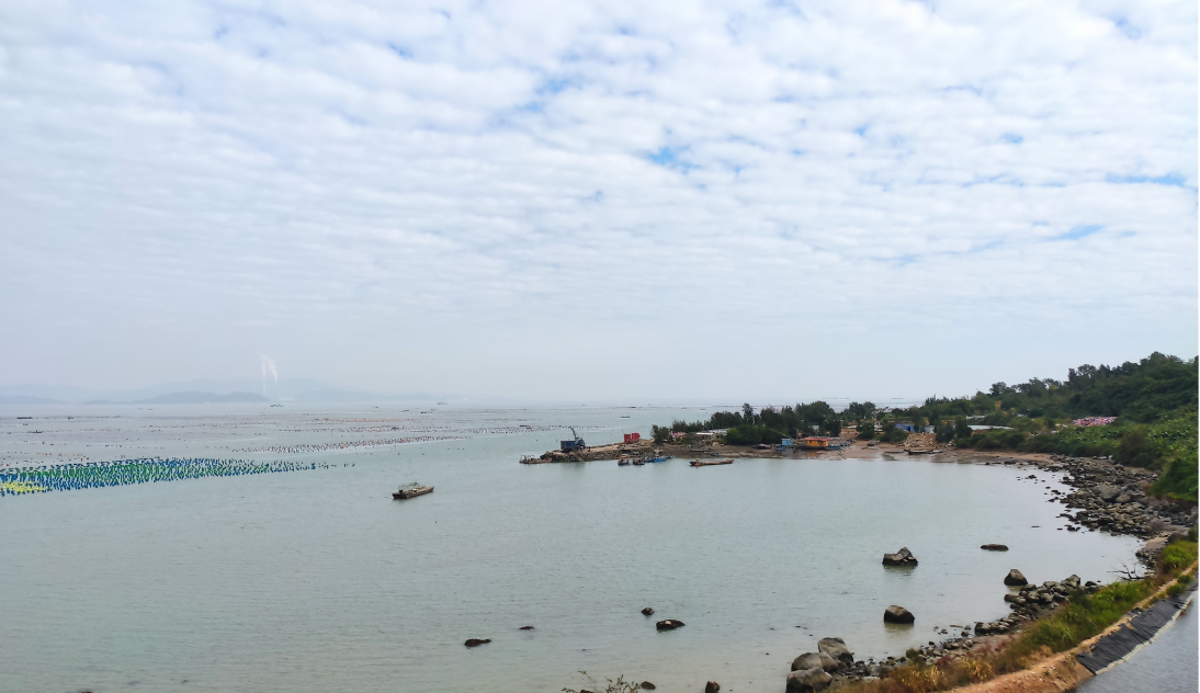 image-20251209194109677