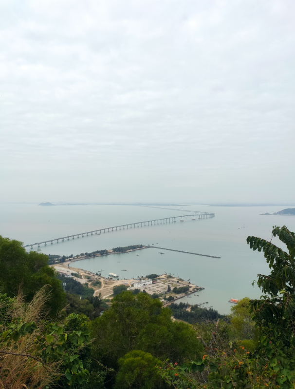 image-20251209194146913