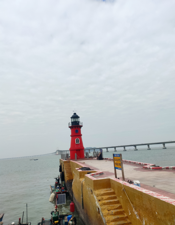 image-20251209194206037