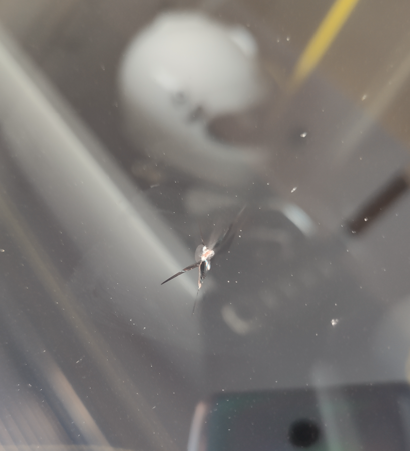 image-20251228174957127