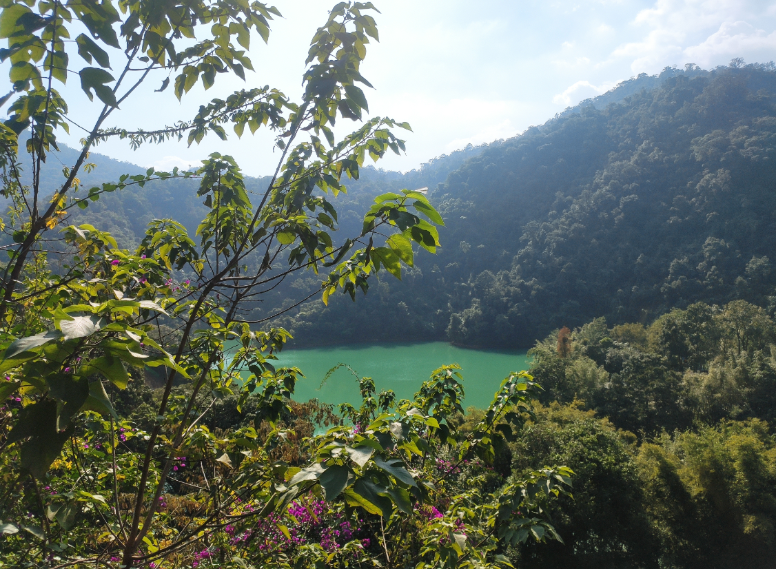 image-20260104202606799