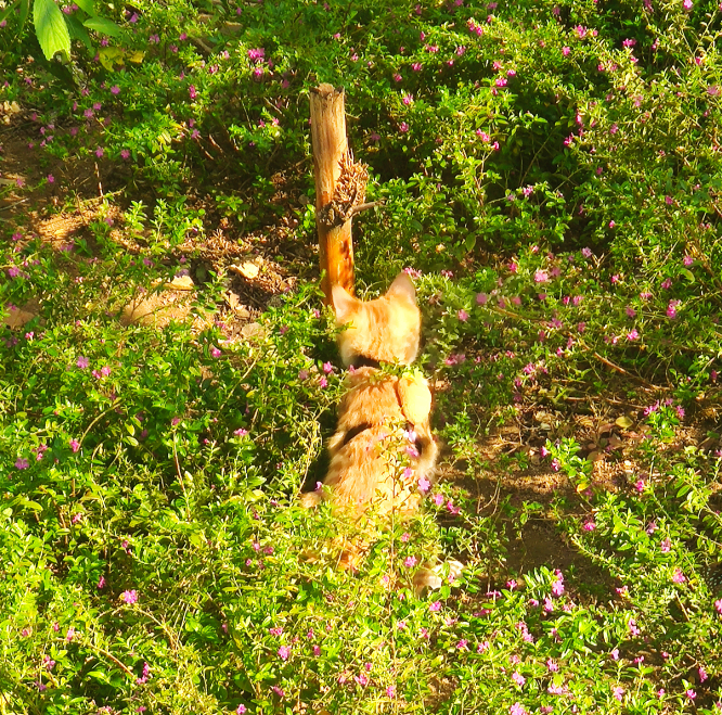 image-20260104202801844