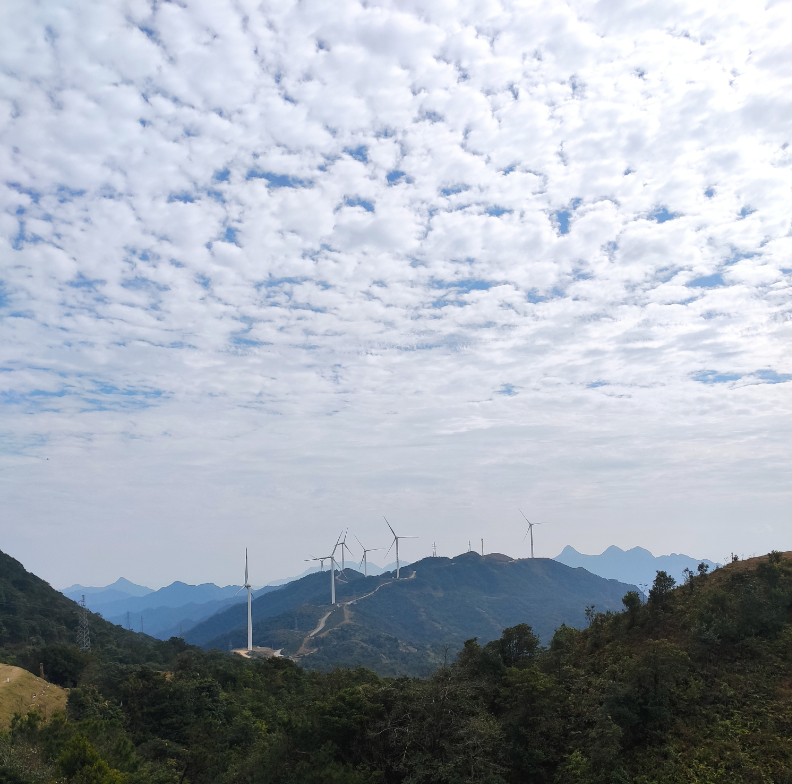 image-20260104204824396