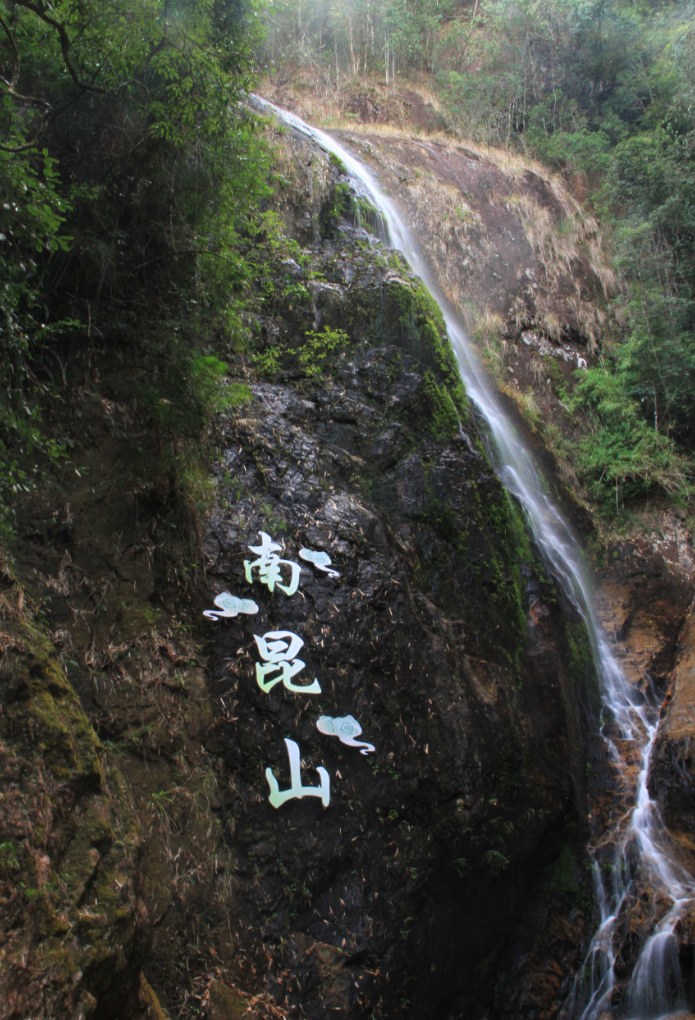 image-20260119113734131