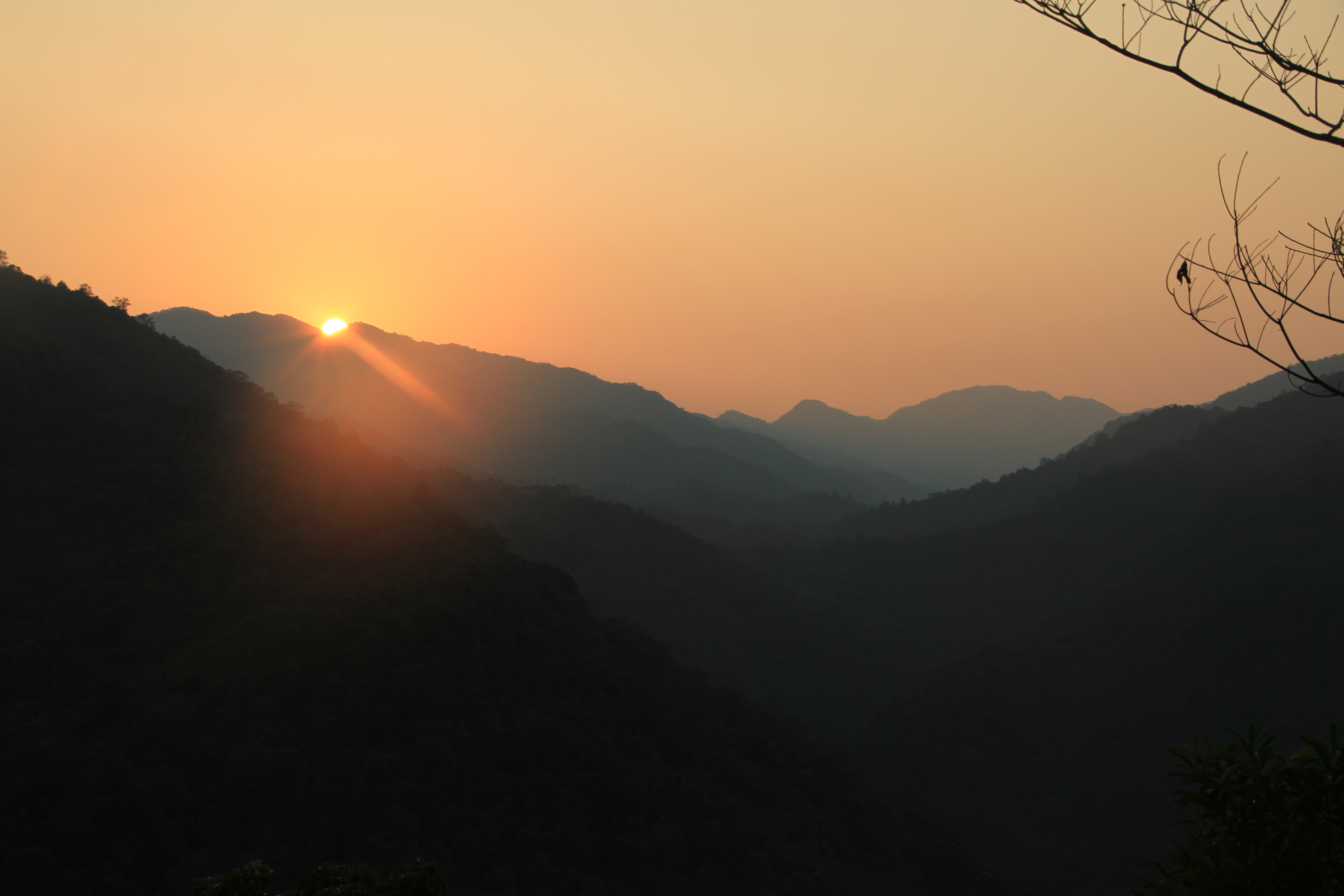 799136a031cf822a5cb3789d7317ad3