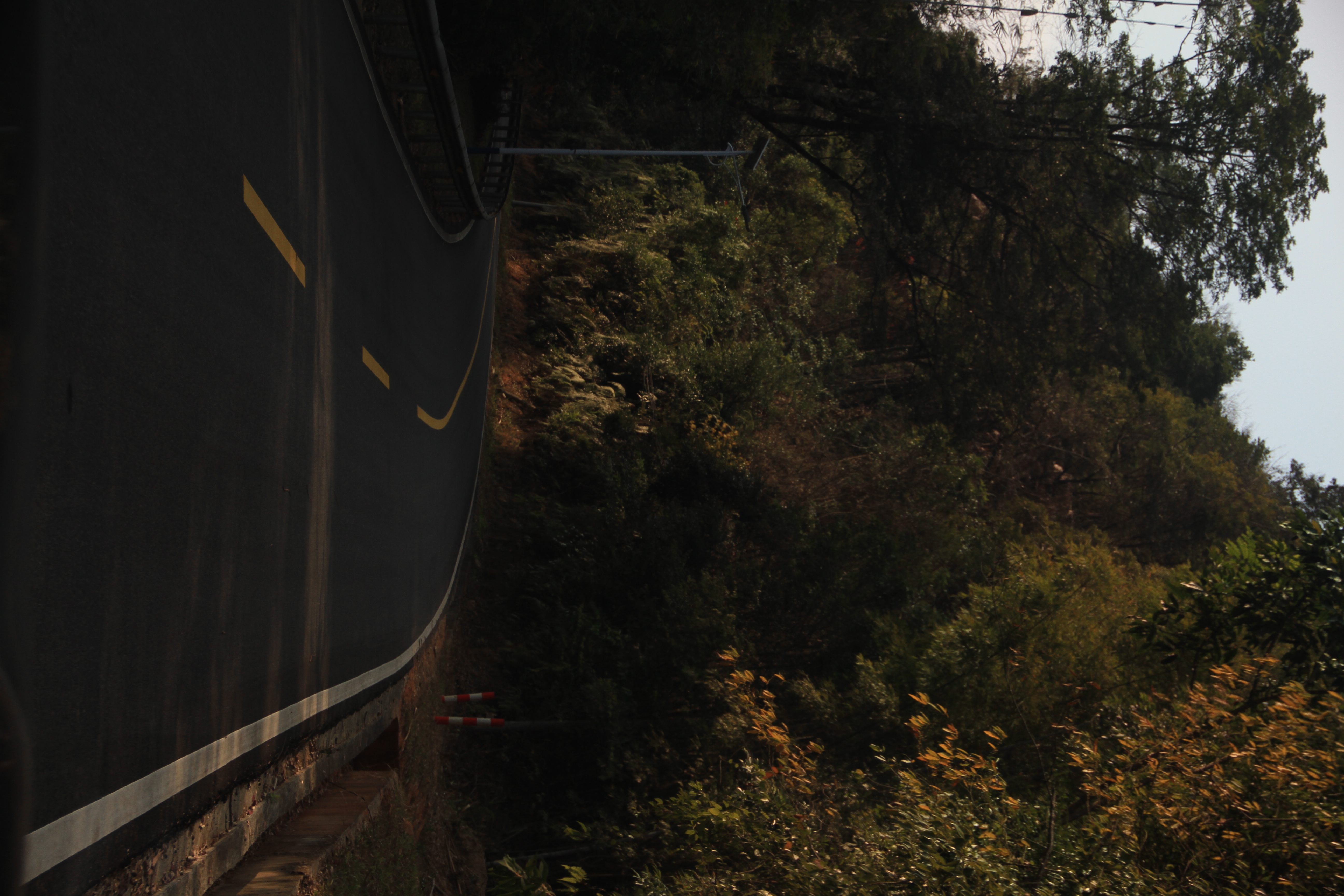 98748ad88438e647fc50a65886f9812